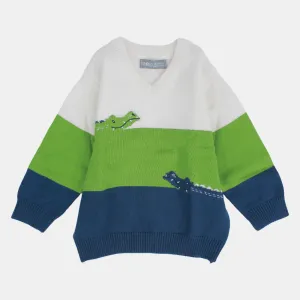 Baby Boys' Crocodile Long-Sleeved Pullover