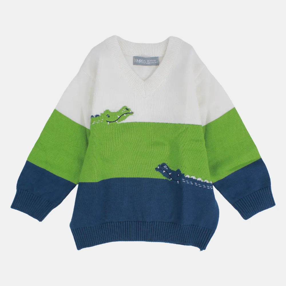 Baby Boys' Crocodile Long-Sleeved Pullover