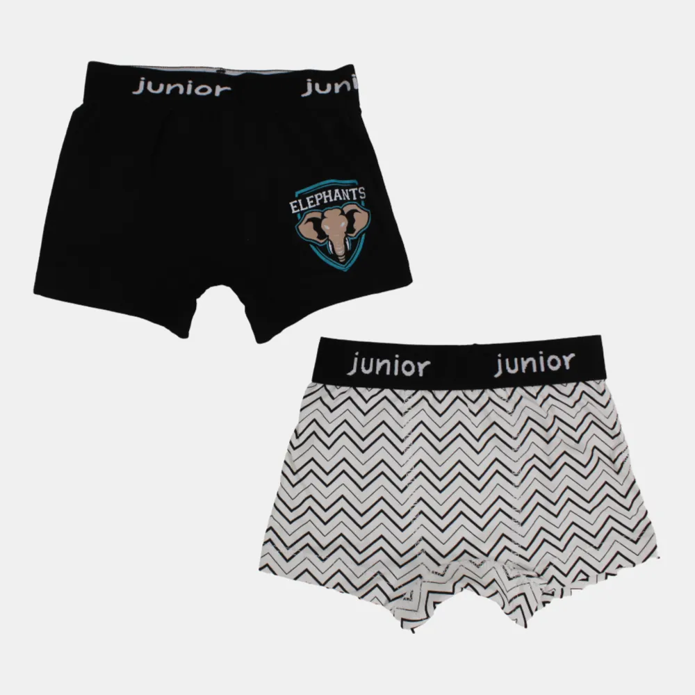 Boys' Cotton Boxer Shorts –  (Pack of 2)