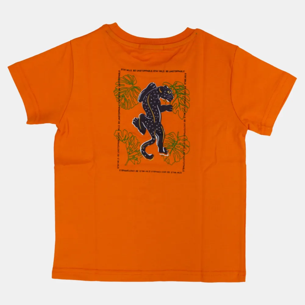 Boys Cotton T-Shirt