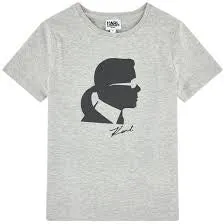 Boys Grey Short Sleeve Silhouette T-Shirt