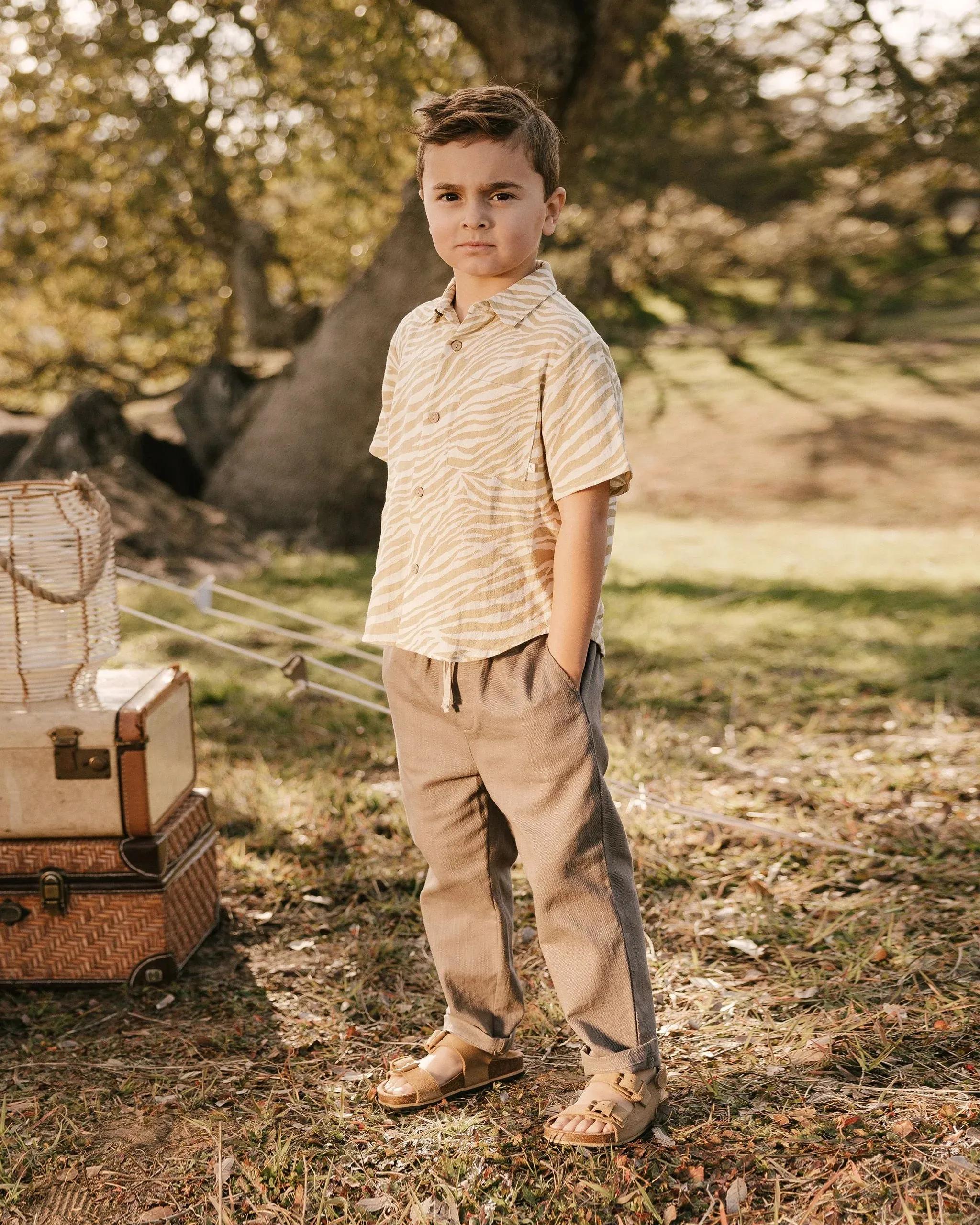 Collared Short Sleeve Shirt | Zebra