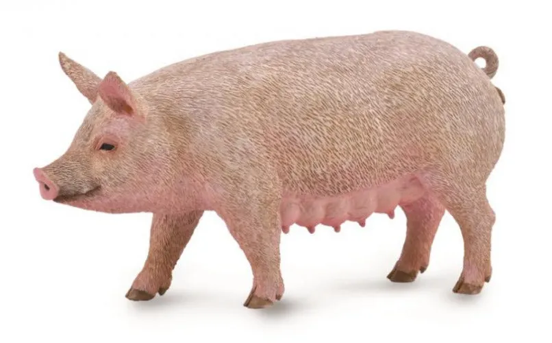CollectA Sow
