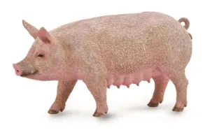 CollectA Sow
