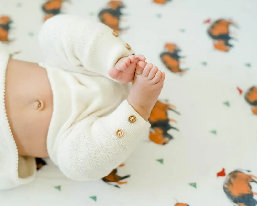 Cotton Muslin Fitted Crib Sheet - Bison by Little Unicorn