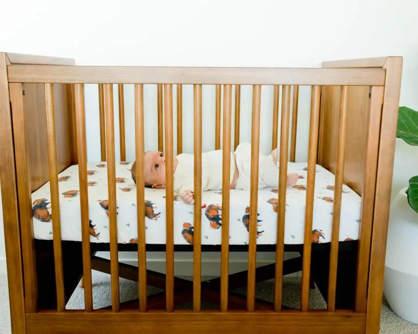 Cotton Muslin Fitted Crib Sheet - Bison by Little Unicorn
