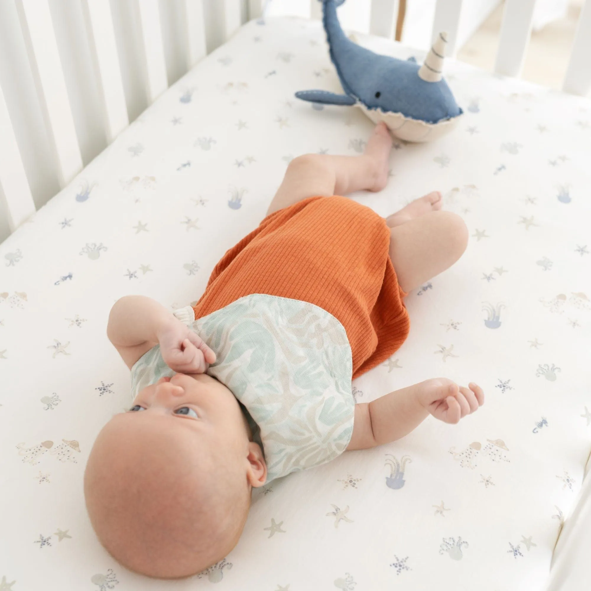 Crane Baby Cove Fitted Crib Sheet