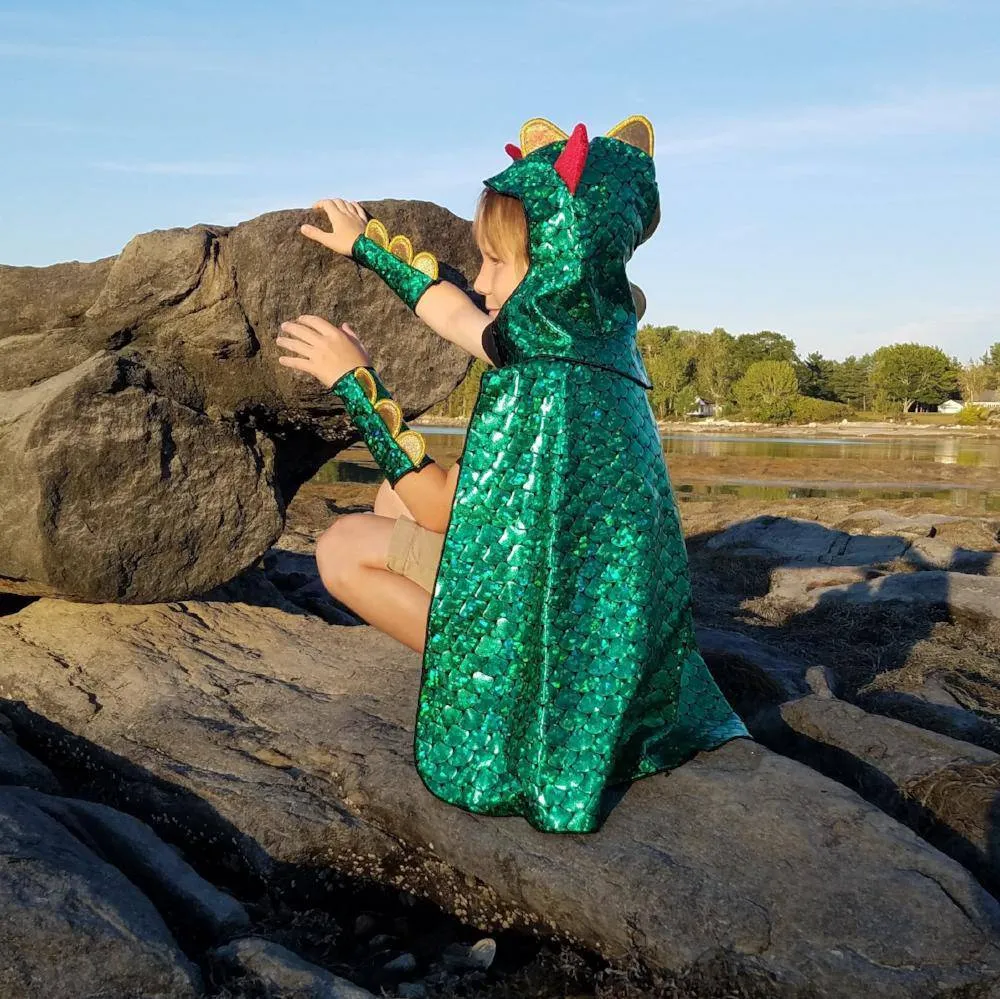 Dragon & Knight Reversible Costume
