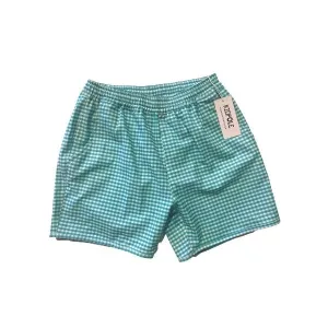 Kidpole Boys Mint Gingham Swimming Shorts