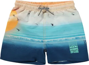Niko Sunset Beach Swim Trunks