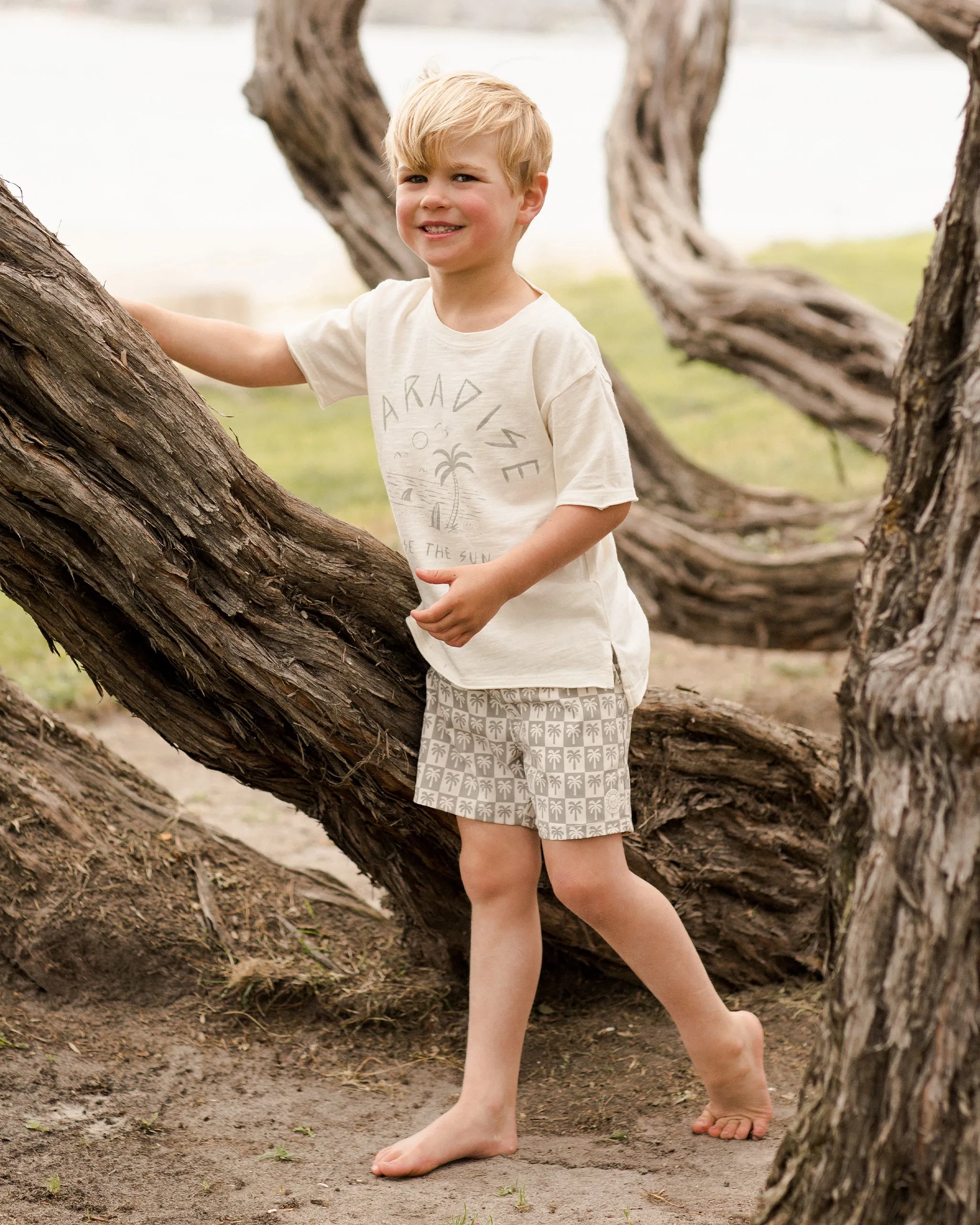 Palm Check Boardshorts