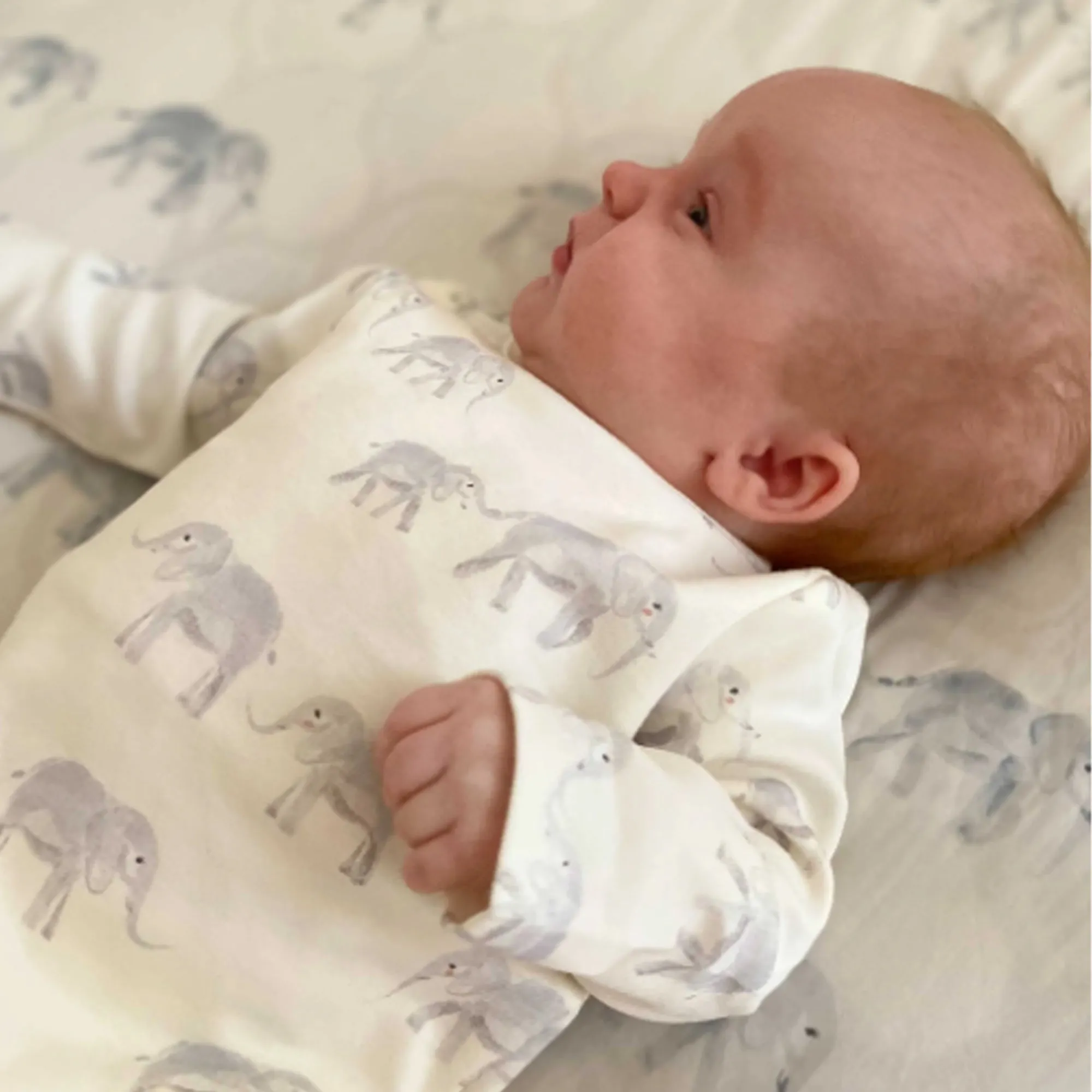PEHR Organic Cotton Shoulder Snap One-Piece - Follow Me Elephant