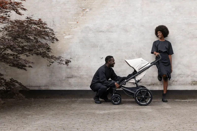 Thule Urban Glide 4-Wheel