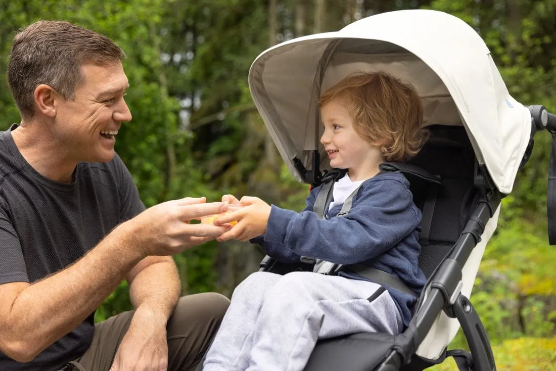 UPPAbaby Ridge Jogging Stroller